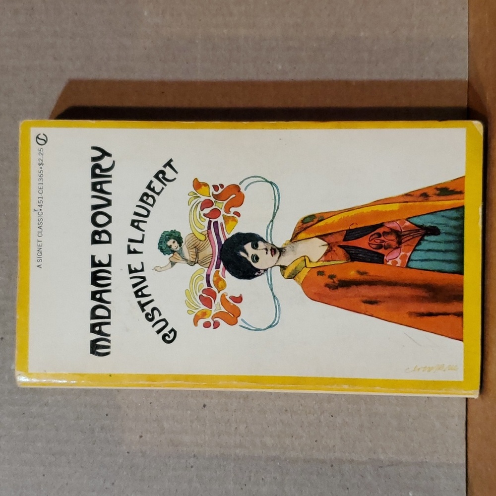 🇫🇷 Madame Bovary Gustave Flaubert paperback book - Picture 1 of 11